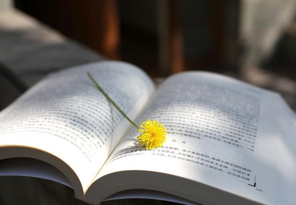 塑膠模具廠 塑膠模具廠